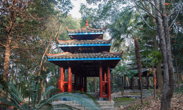 湖南旅游十大必去景区,湖南必去十大景点有哪些图18