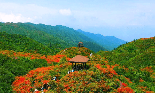 湖南旅游十大必去景区,湖南必去十大景点有哪些图20