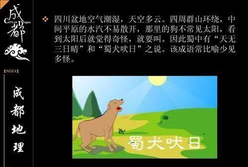 蜀犬吠日是什么意思,蜀犬吠日是什么意思图7