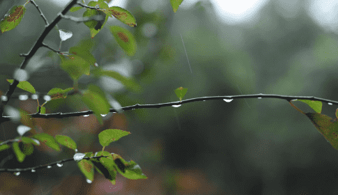 关于秋天雨的句子,写秋天的雨的句子优美简短精选29句图4