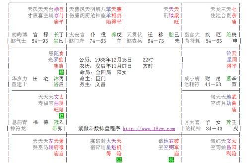 紫微命盘在线查询,紫薇星盘查询图4