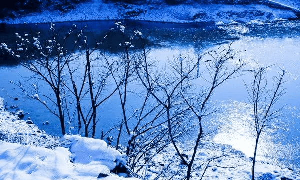 关于大雪的谚语,关于大雪的谚语有哪些图3