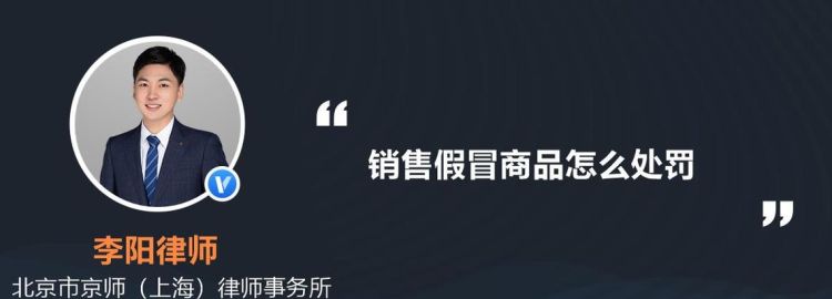 假牌子怎么处罚,车子上假牌会受什么处罚图3