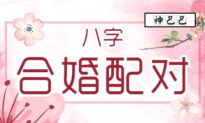 夫妻八字配对算命婚姻免费,免费婚姻八字配对查询图2