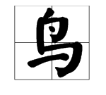 鸟字旁的字有哪些,鸟字旁的字有哪些字一年级图4