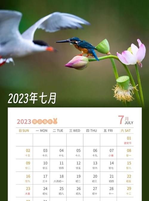 日历8月,今年七夕是几月几日图1