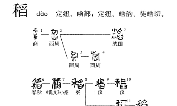 稻的拼音,“稻”的读音是什么图4