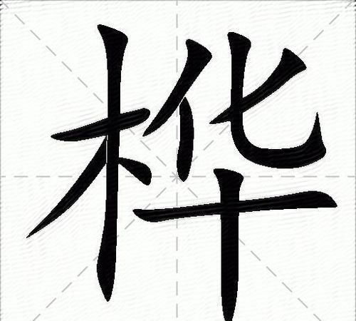 桦怎么组词,桦的组词有哪些图5