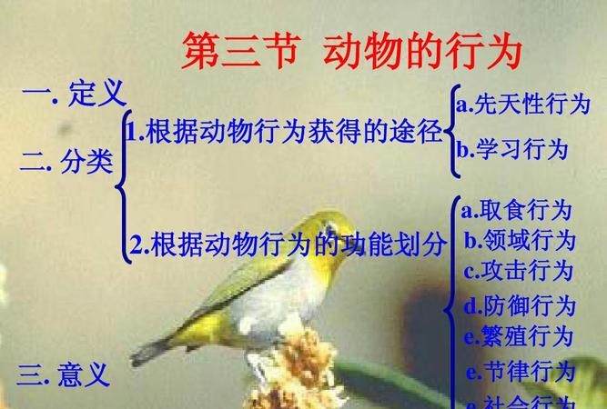 动物运动的意义是什么,运动对动物生存的意义是图4