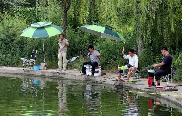 空钩逗钓的技巧，飞蝇钓是什么钓法图3