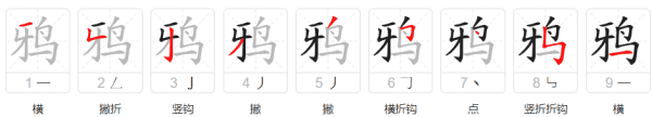 鸦的笔顺,鸦字笔顺图1