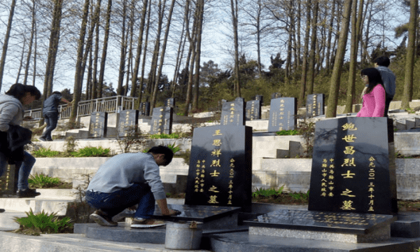 清明小报手抄报内容,清明节手抄报可以写什么内容30字图5