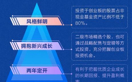 战略定向配售是什么,战略配售可出借是什么意思图4