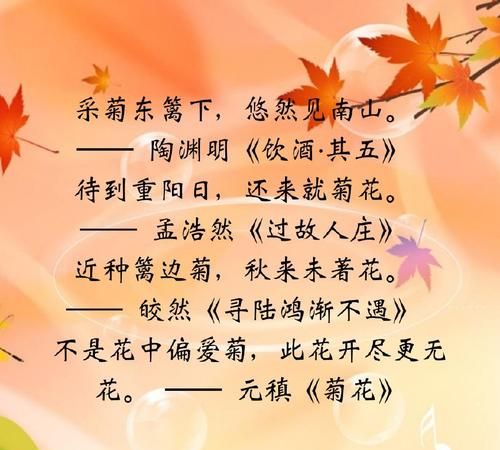 描写菊花的成语,形容菊花的成语四字词语图5