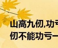 山九仞功亏一篑是什么意思,为山九仞功亏一篑的意思是什么意思图1