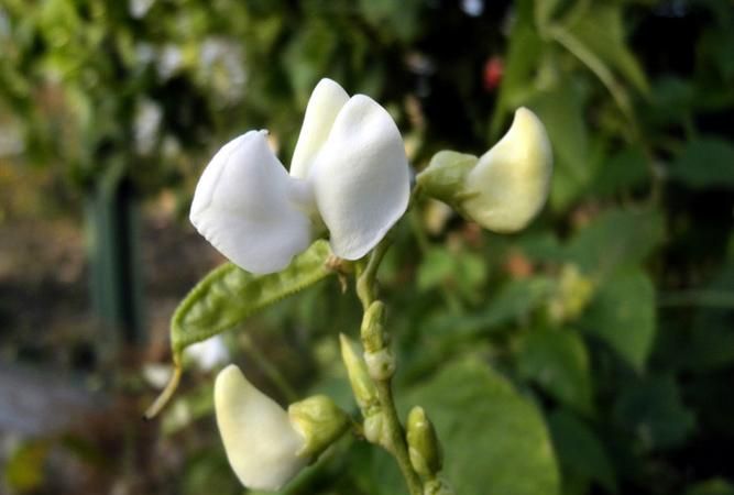 0月23日,你好大师兄图3