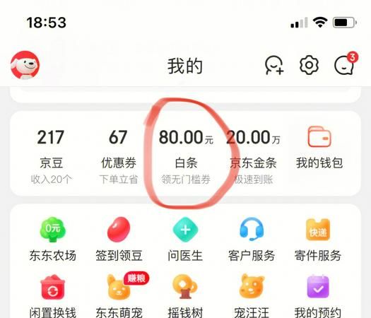 京东白条最低还款什么意思,京东白条有最低还款额度