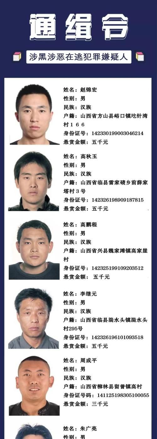 批捕在逃资料如何查阅,批捕在逃资料如何查阅图2