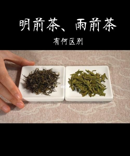 明前茶和雨前茶有什么区别,雨前茶和明前茶的区别是什么图1