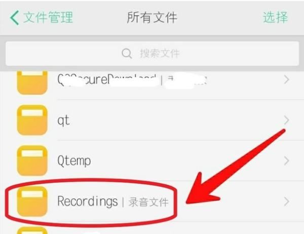 安卓通话录音保存在哪里，安卓手机的录音存在哪个文件夹里图2