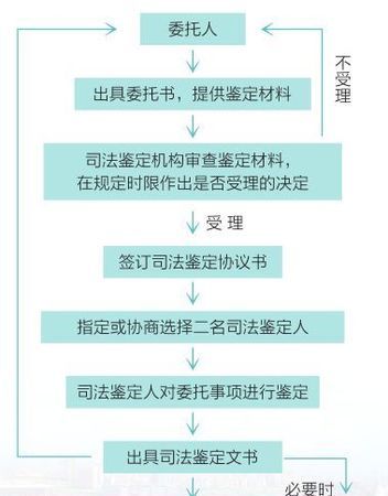 工作从事司法鉴定条件有什么,司法鉴定的伤残等级标准是什么图3