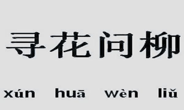 寻花问柳是什么意思,寻花问柳是什么意思图2