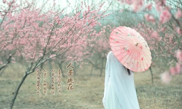 人面桃花的意思,人面桃花是什么意思人面桃花成语造句和典故图2