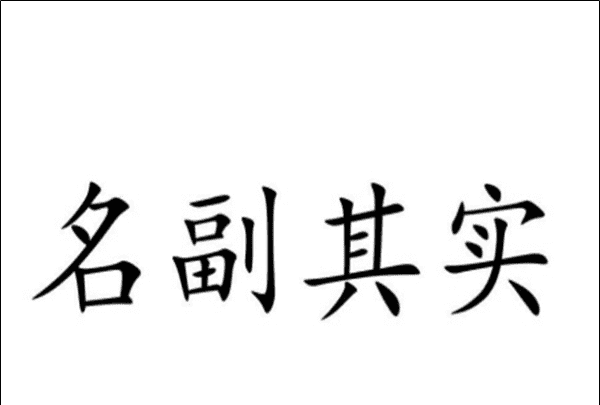 名副其实是什么意思,名副其实的意思是什么图5