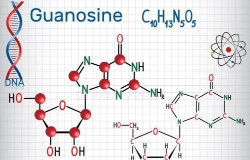 嘌呤怎么读 分子式是什么,嘌呤的化学名称叫什么来着图2