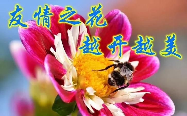 月3号是什么日子,农历十一月十三是什么日子好不好