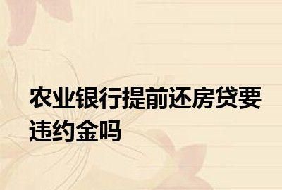 银行贷款违约金是多少,建设银行贷款违约金怎么算图5