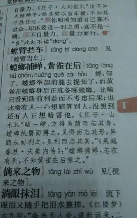 螳螂捕蝉黄雀在后的意思,螳螂捕蝉黄雀在后故事图1