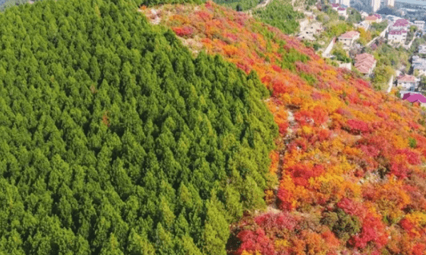 平分秋色的意思,平分秋色的意思图4