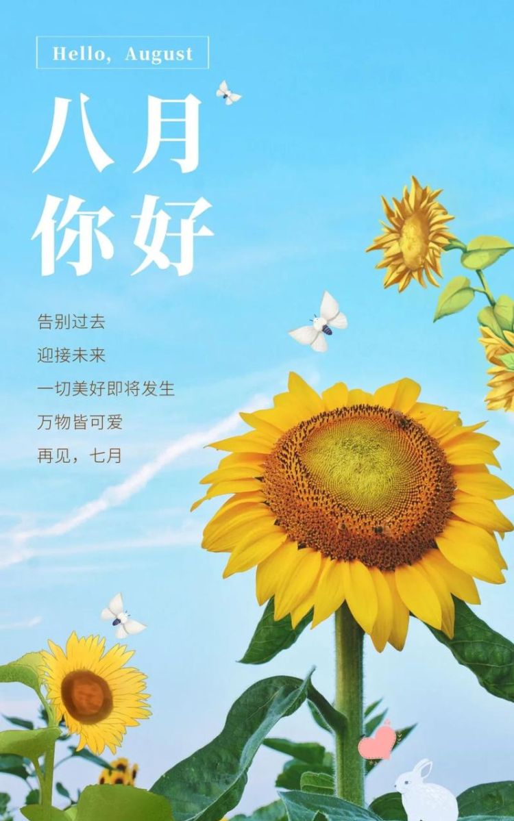 8月的句子短句唯美,迎接八月的唯美句子短句图2