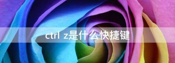 ctrl加z键是什么意思，CTRL加G是什么快捷键图2