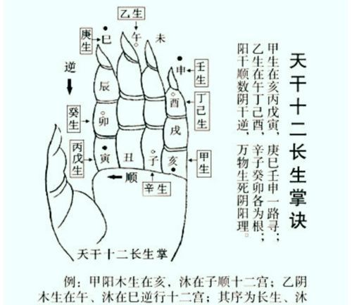 八字命局十神,正官偏财食神什么意思图2