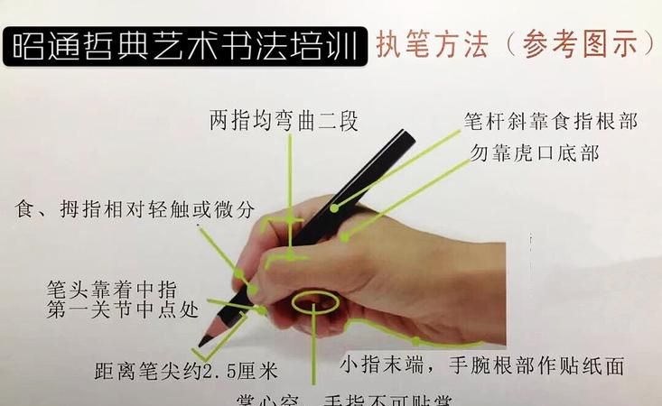 正确的握笔方法,怎样正确握笔图3