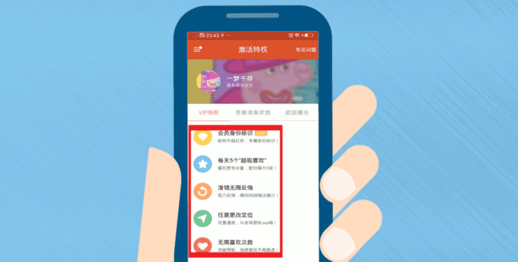 ios怎么买探探会员,ios探探冲不了不可重复获取验证码图5