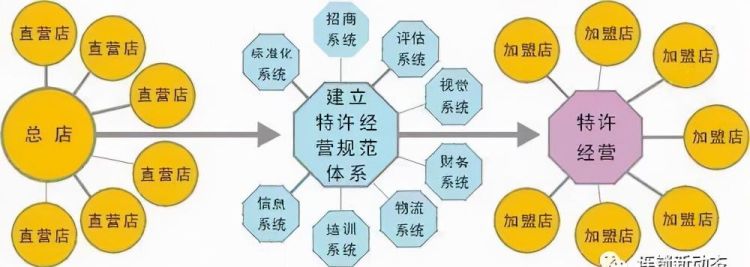 什么是连锁经营,什么是连锁经营图2