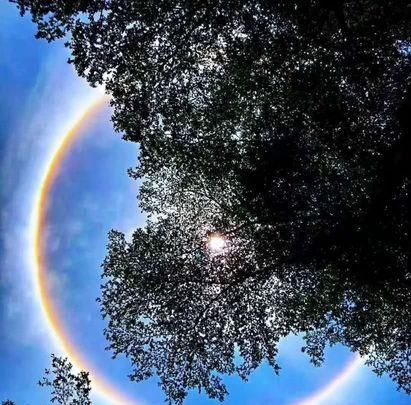 月晕而风础润而雨,月晕而风础润而雨的意思和造句图2