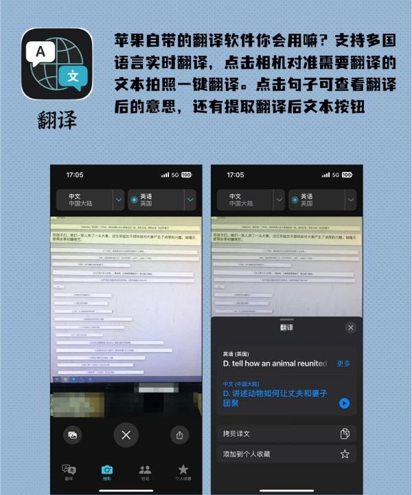 免费翻译器拍照,哪个英语软件可以拍照就能翻译和朗读图5