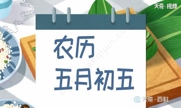 端午节是干什么的日子,端午节是什么节日图3