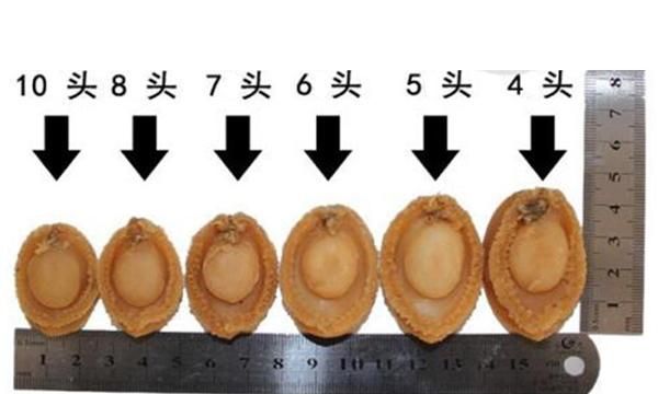 均匀是什么意思,均匀的正确意思捣乱图3