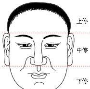 算命知识大全图解,眉毛看相算命图解有关系图3