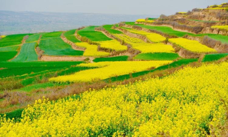 清明节去哪里踏青,清明节去哪里旅游最好