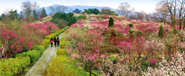 清明节去哪里踏青,清明节去哪里旅游最好图8