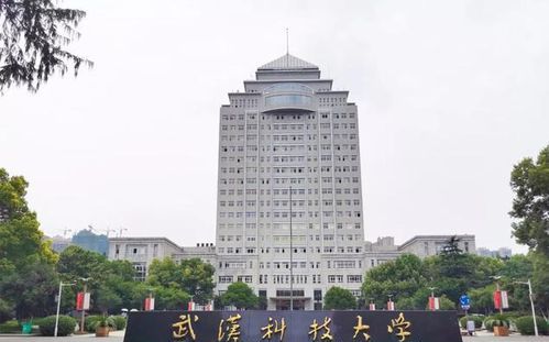 武汉科技大学是一本,武科大是一本还是二本武汉工程大学是几本