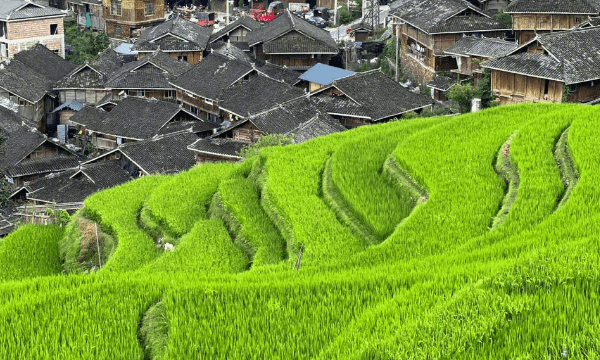 加榜梯田在哪里,加榜梯田在贵州哪个市图1