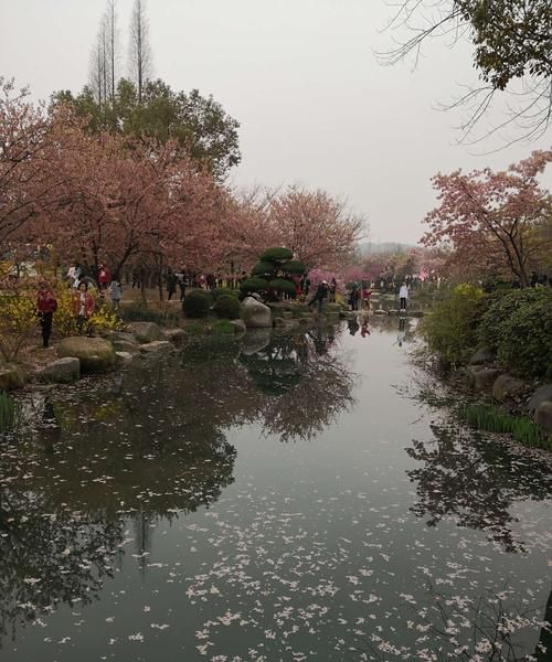 落花有意流水无情什么意思,落花有意随流水流水无心恋落花全诗