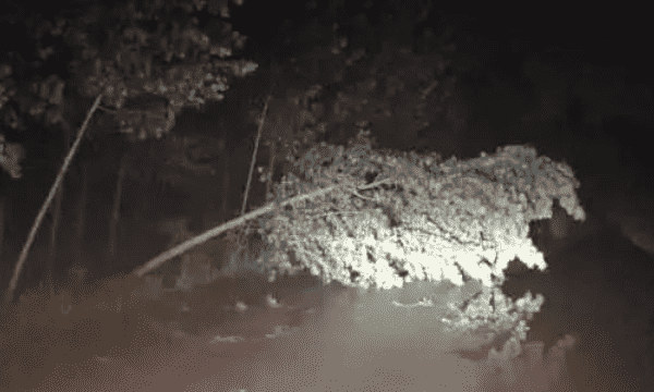 狂风骤雨,狂风骤雨是什么意思图2